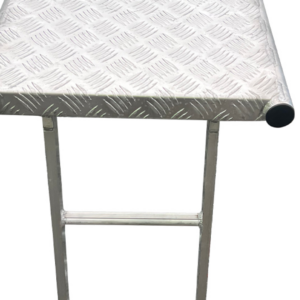 Scaffold step